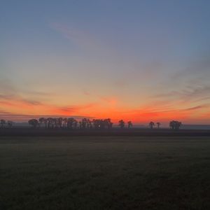 Meet your Posher, Farah